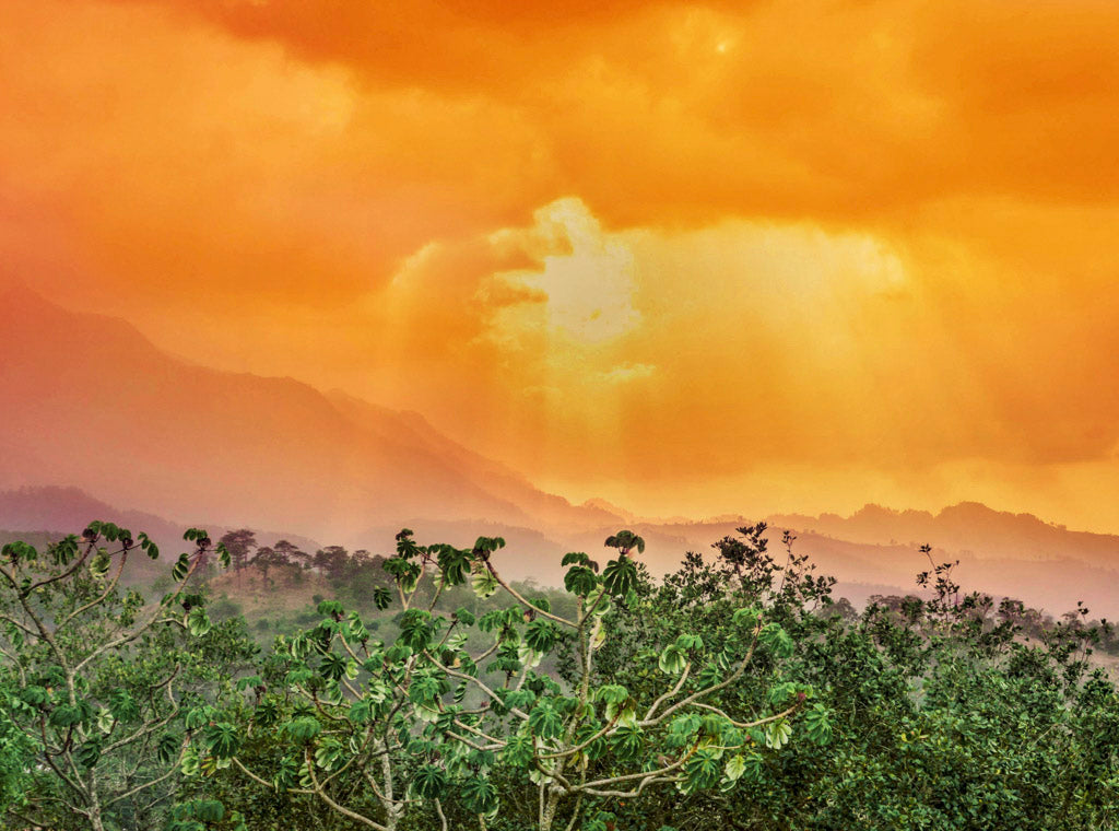 A gorgeous landscape photograph of the growing region at the Honduras origin for Peet's small batch rare new crop organic honduras corquín coffee